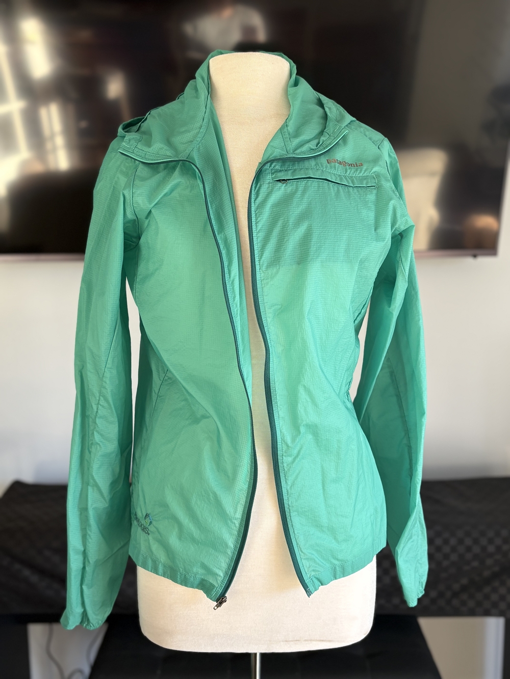 Patagonia Women’s Teal Windbreaker